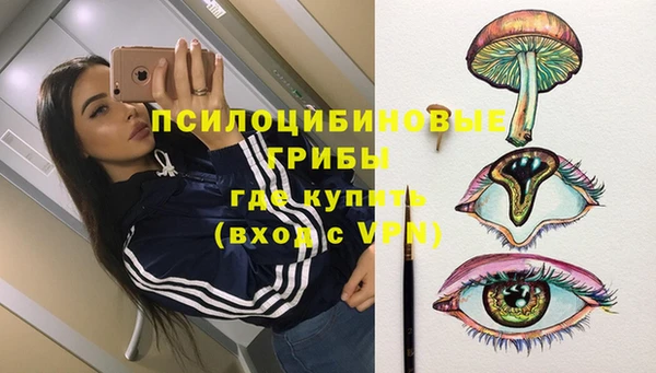 таблы Карпинск