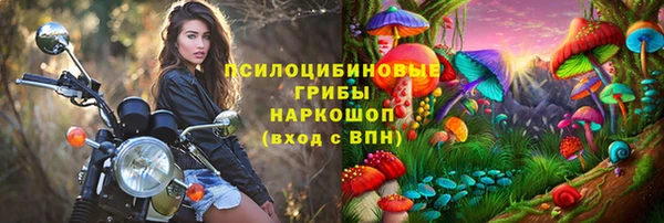 дживик Карталы