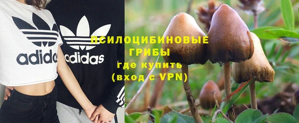 spice Касимов