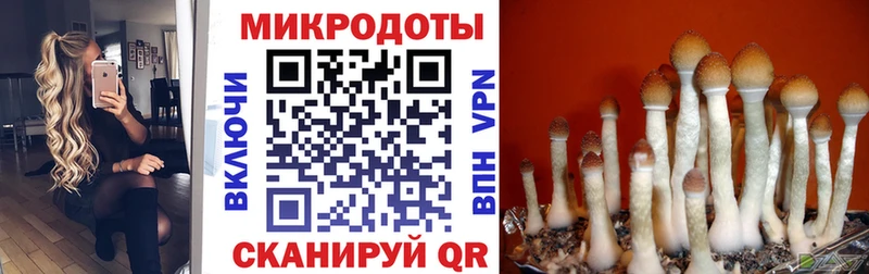 Галлюциногенные грибы GOLDEN TEACHER  Купить где  Белая Калитва 